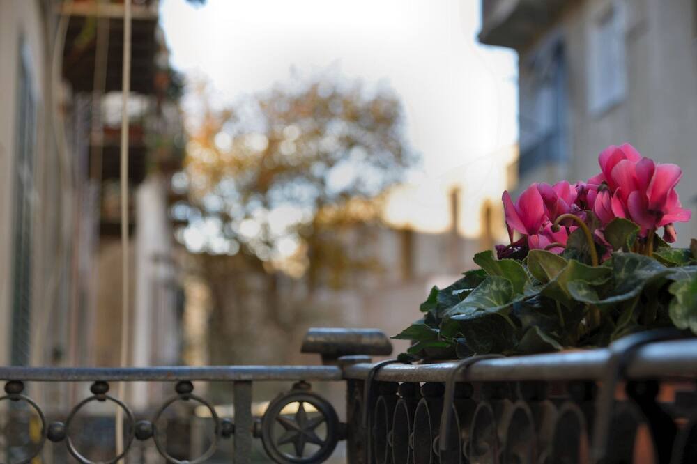 Photo of Patio Balcony in Kalsa
