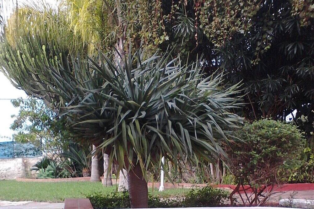 Photo of Outdoor in Fontane Bianche
