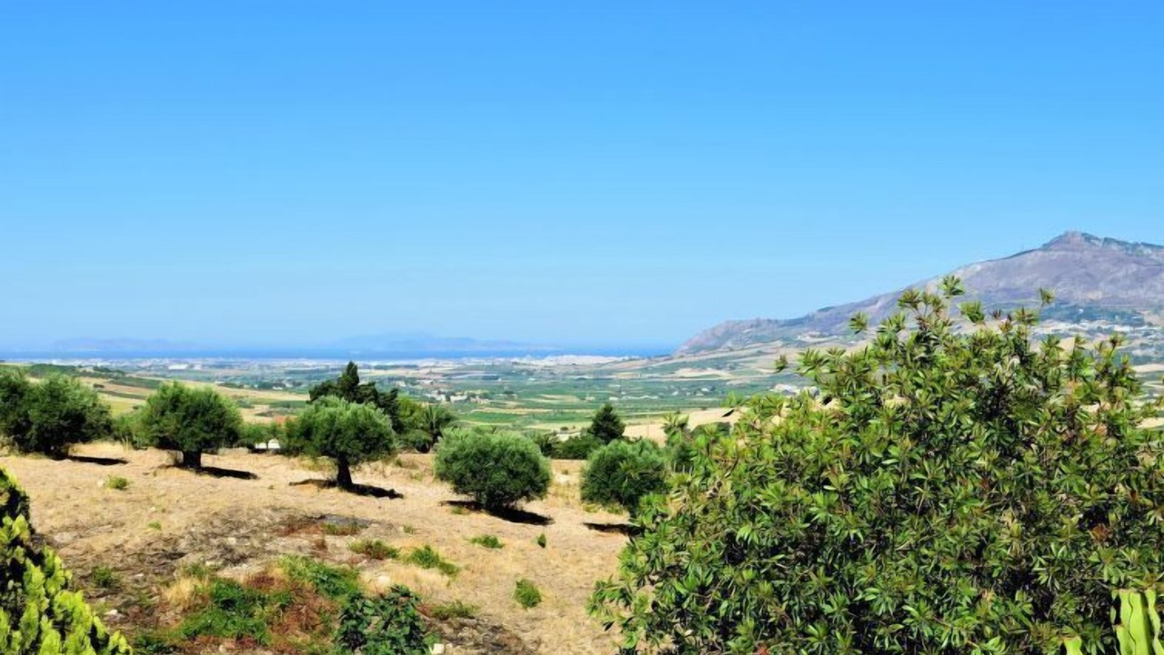 Photo of Outdoor in Mockarta