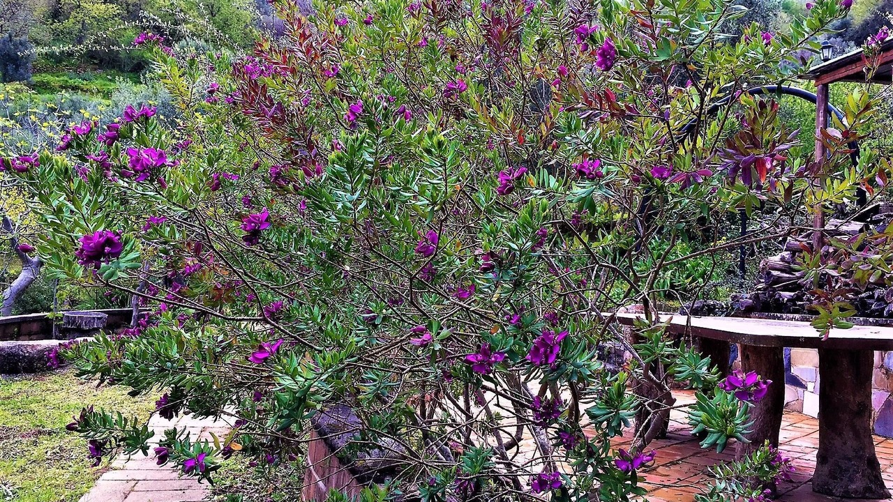 Photo of Outdoor in Santo Stefano
