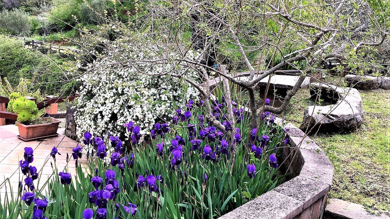 Photo of Outdoor in Santo Stefano