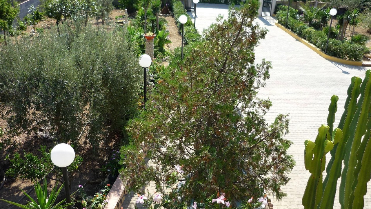 Photo of Outdoor in Licata
