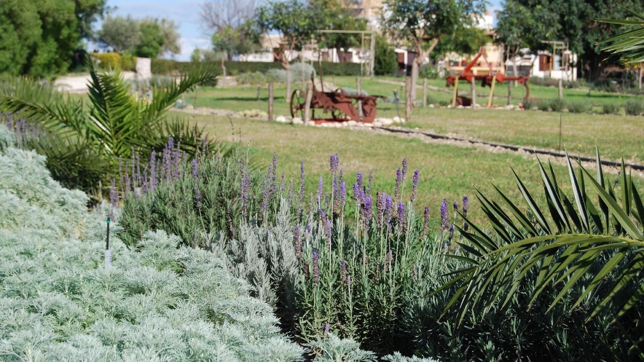 Photo of Outdoor in Noto