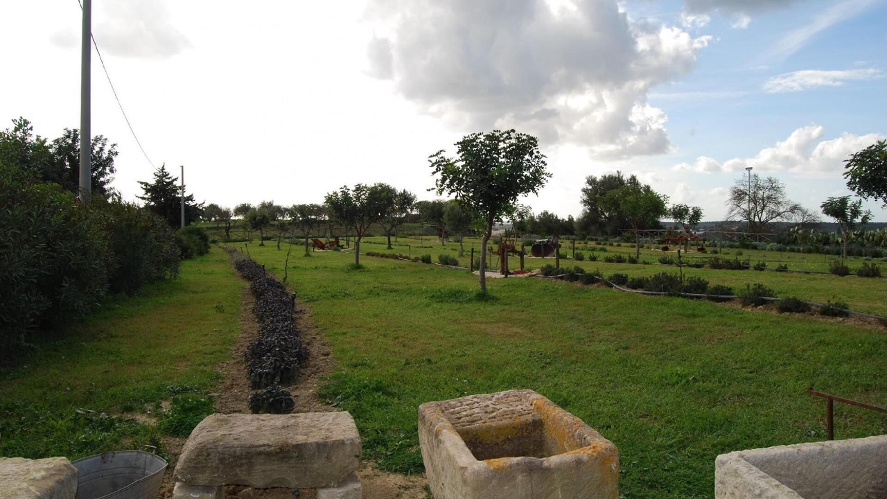Photo of Outdoor in Noto
