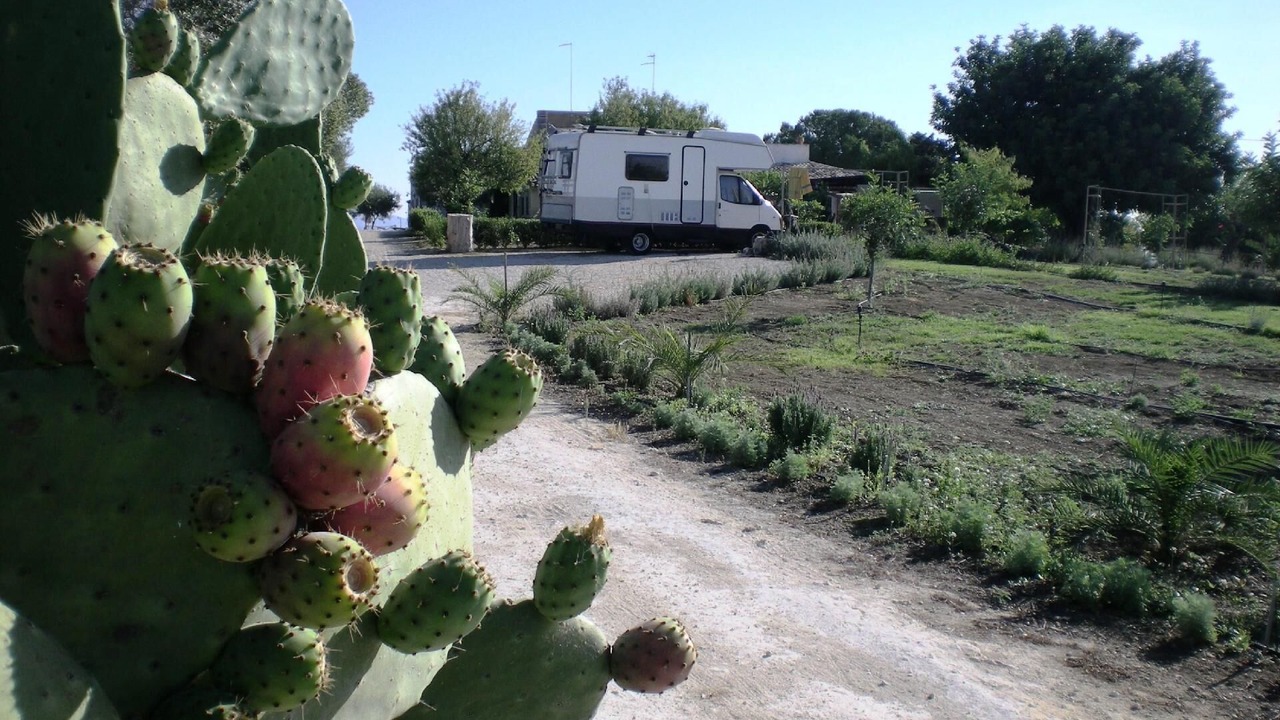 Photo of Outdoor in Noto
