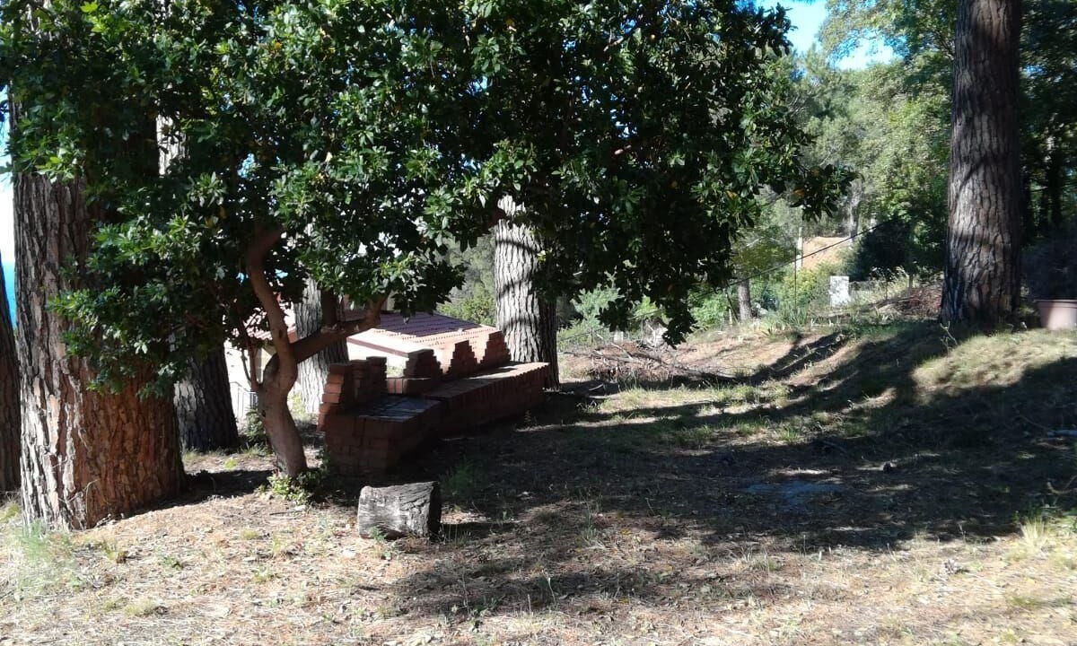 Photo of Outdoor in Pollina