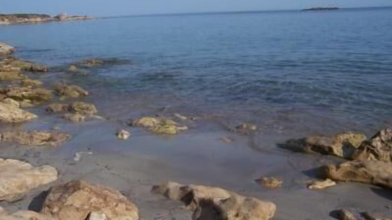 Photo of Others in Punta Milocca