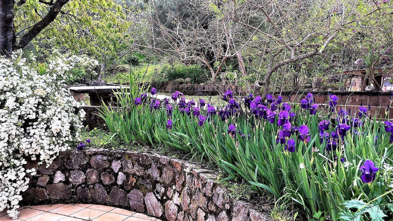 Photo of Outdoor in Santo Stefano