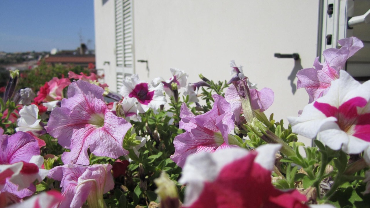 Photo of Outdoor in Donnalucata