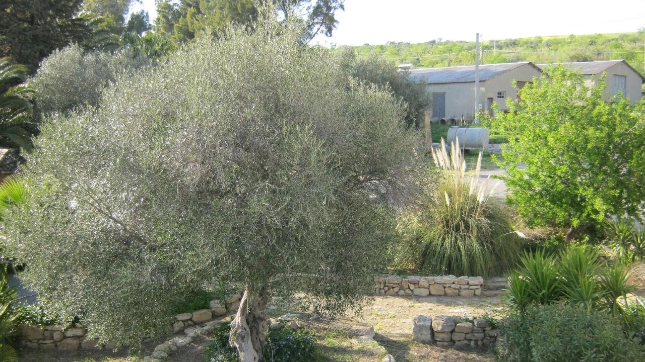 Photo of Outdoor in Enna