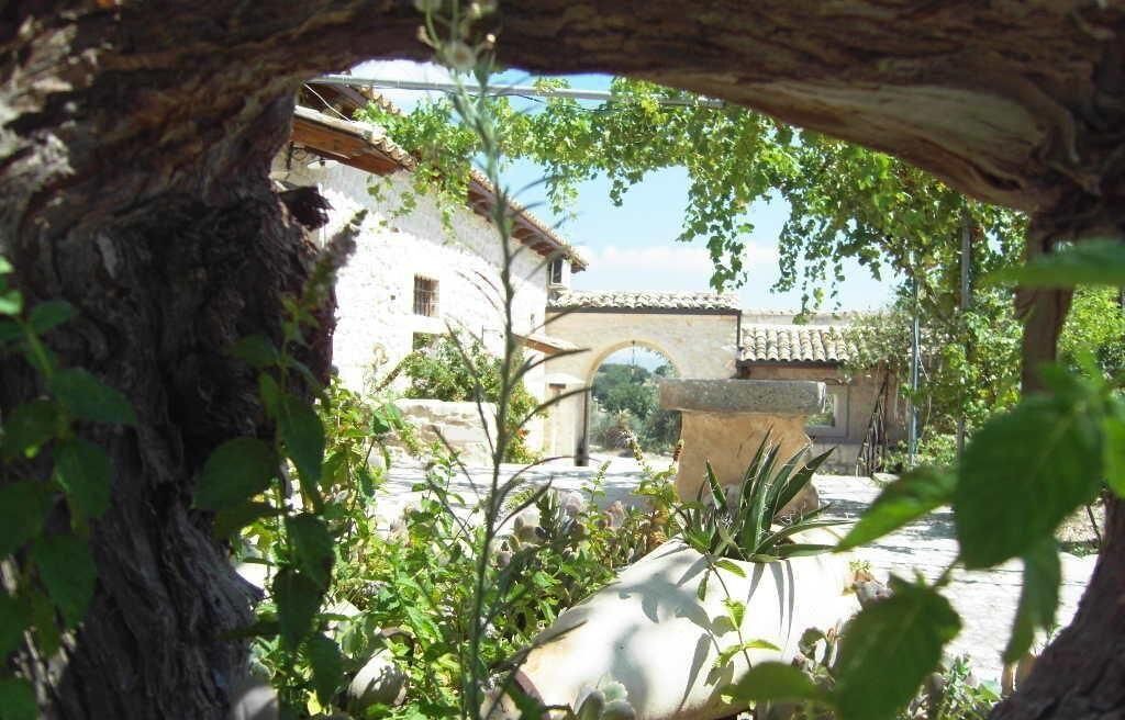 Photo of Outdoor in Casa Papa