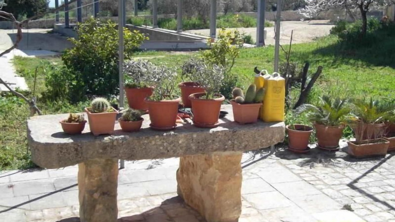 Photo of Outdoor in Casa Papa