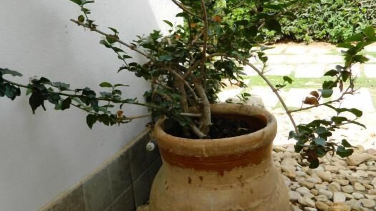 Photo of Outdoor in Punta Braccetto