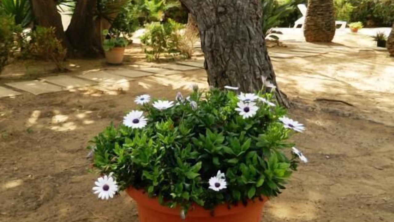 Photo of Outdoor in Punta Braccetto