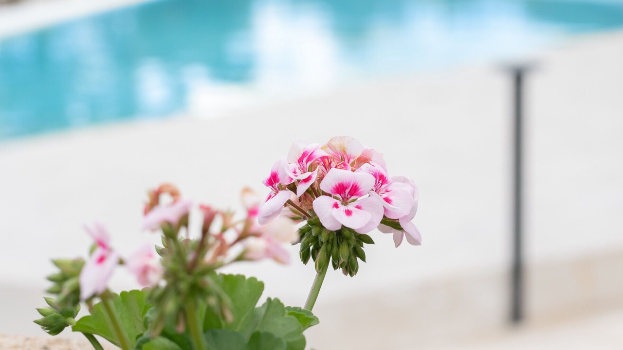 Photo of Outdoor in Casa Papa