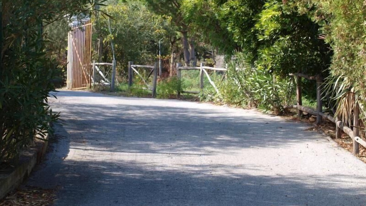 Photo of Outdoor in Gioiosa Marea