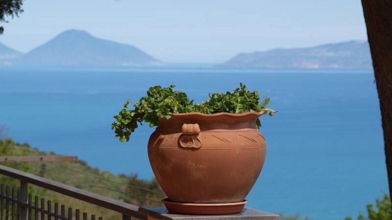 Photo of Outdoor in Gioiosa Marea