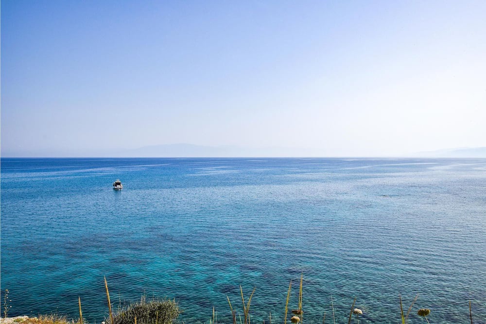 Photo of Others in Scilla