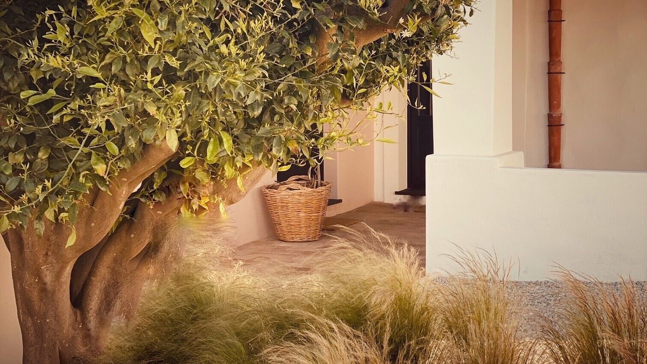 Photo of Outdoor in Lipari