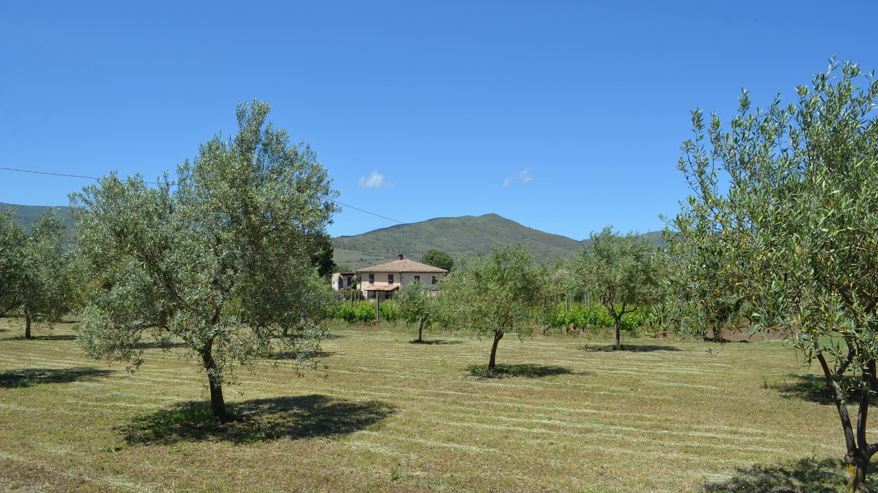 Photo of Outdoor in Randazzo