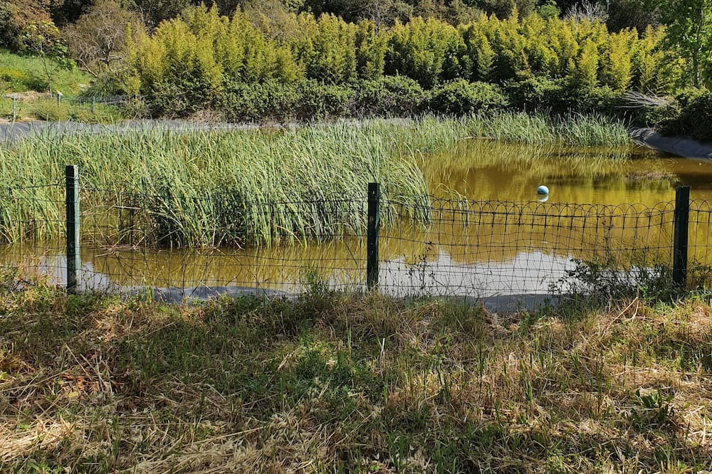 Photo of Outdoor in Pollina