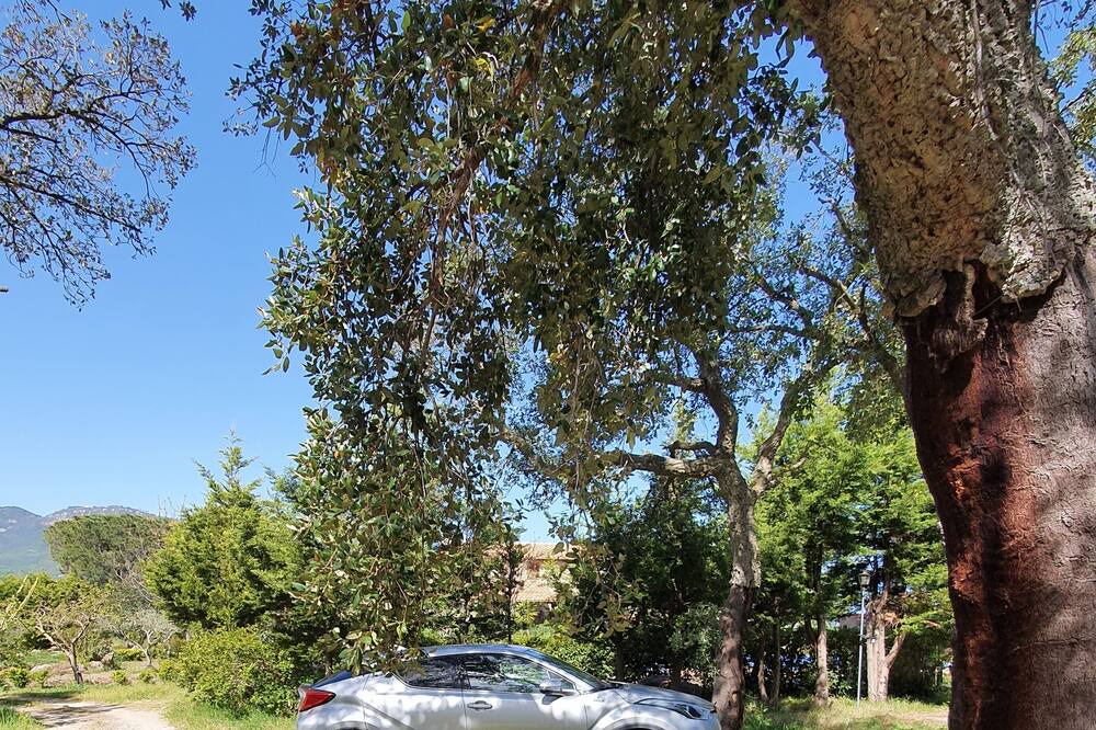 Photo of Outdoor in Pollina