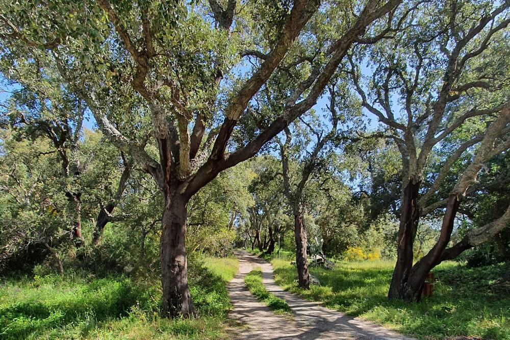 Photo of Outdoor in Pollina