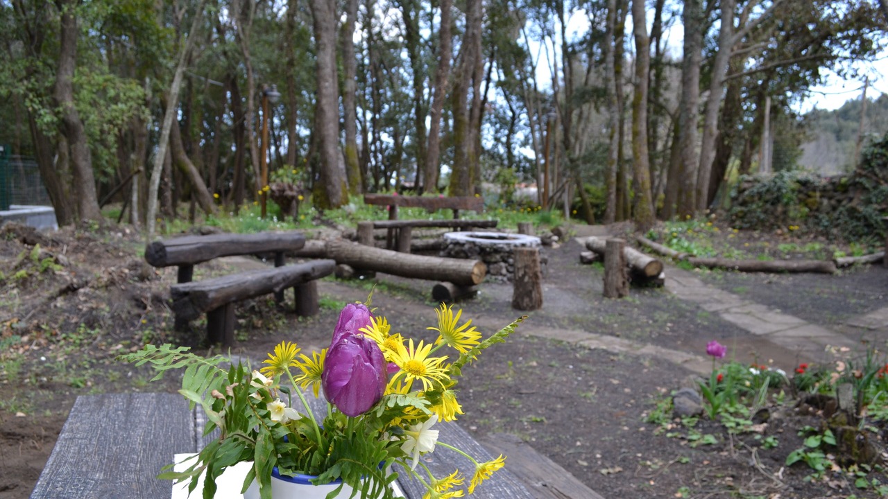 Photo of Outdoor in Pedara