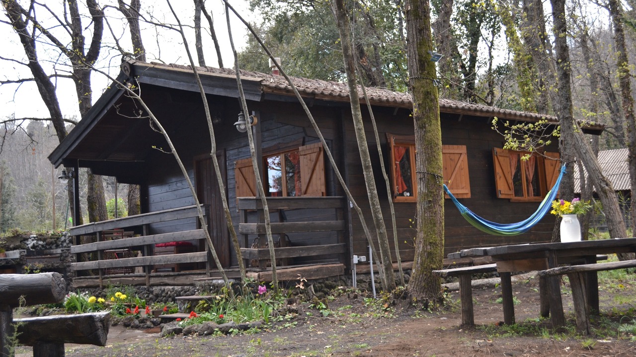 Photo of Outdoor in Pedara