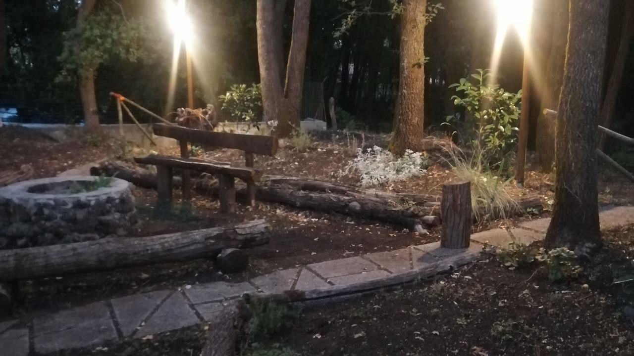 Photo of Outdoor in Pedara