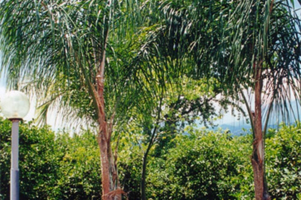Photo of Outdoor in Sant'Anna