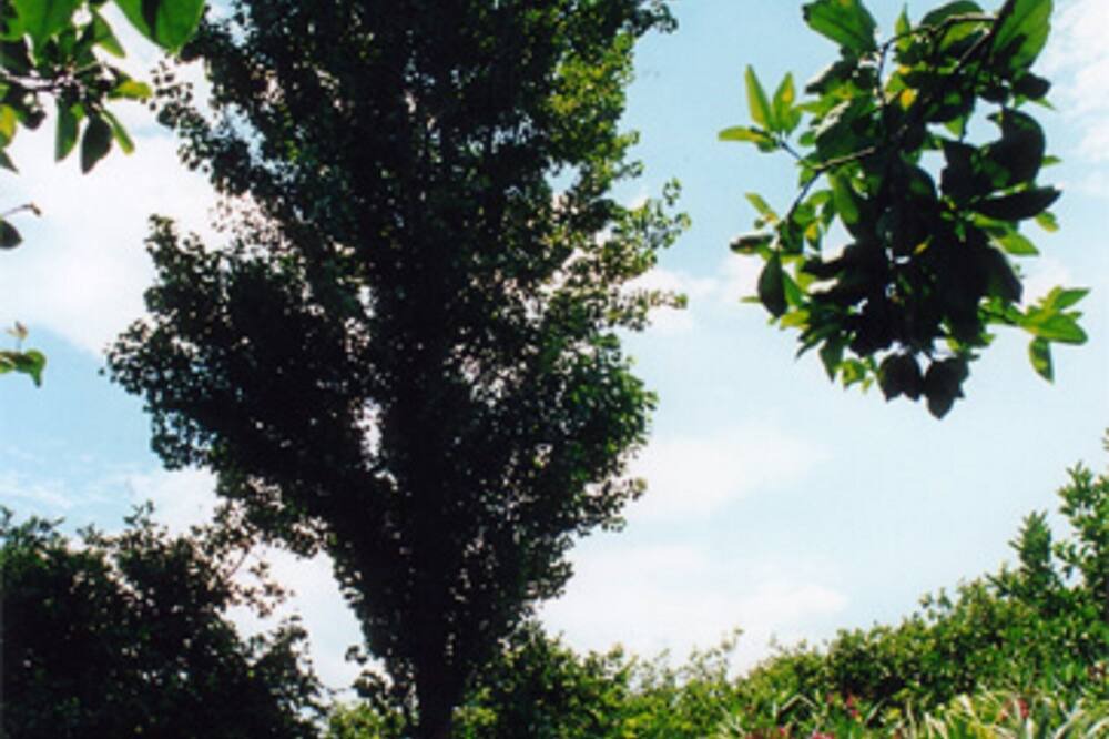 Photo of Outdoor in Sant'Anna