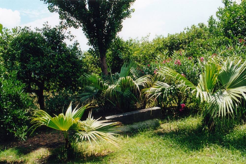 Photo of Outdoor in Sant'Anna