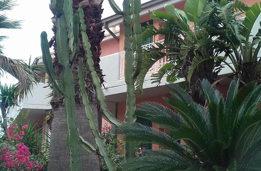 Photo of Outdoor in Pollina