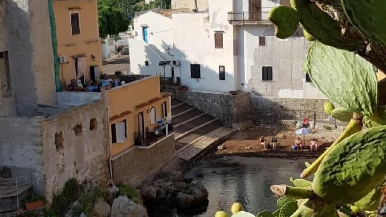 Photo of Outdoor in Porticello