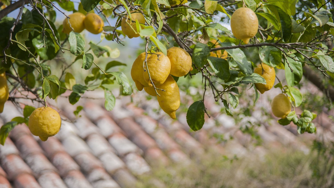 Photo of Outdoor in Castelbuono