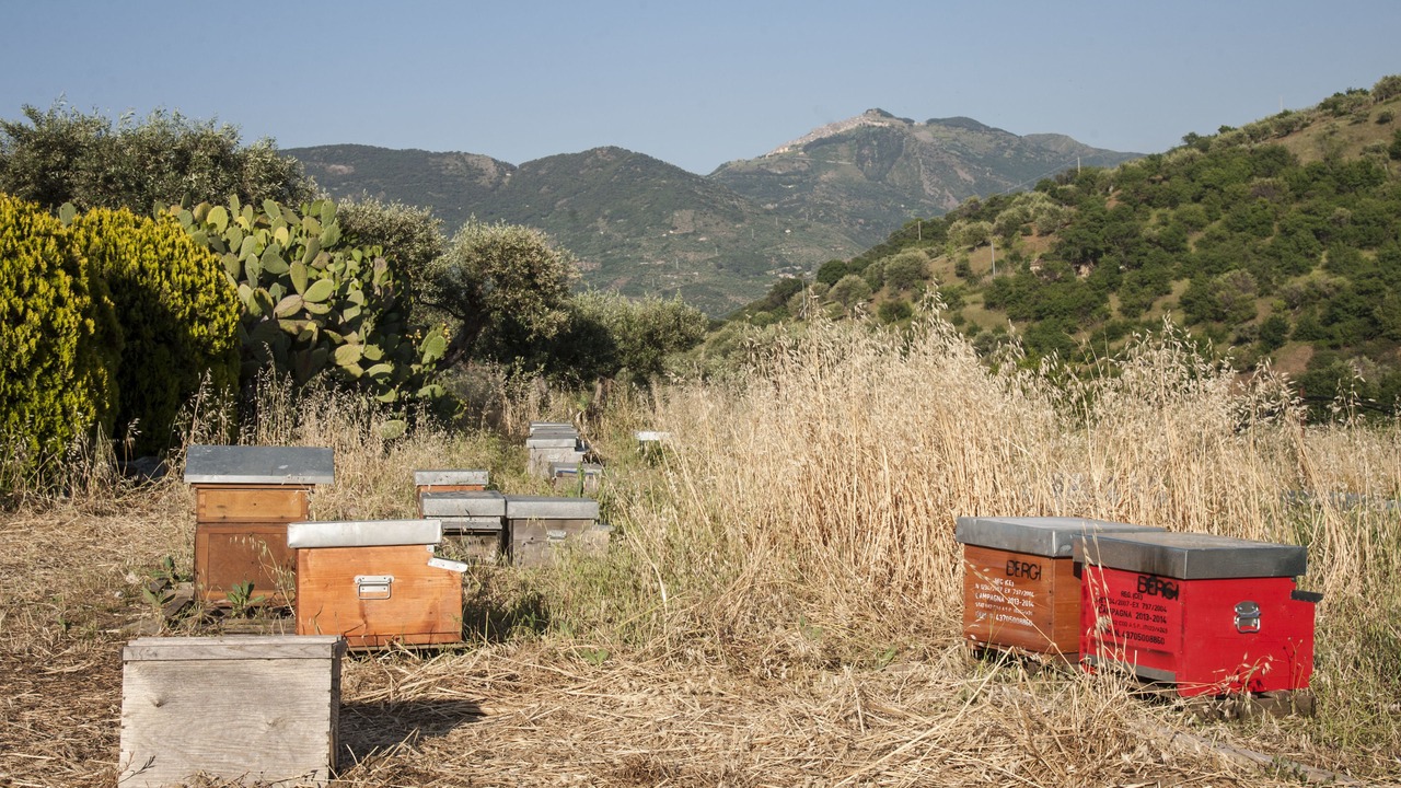Photo of Outdoor in Castelbuono