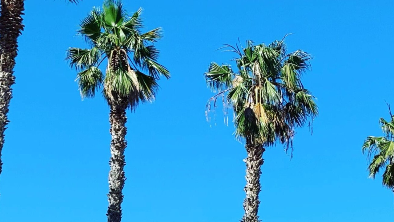 Photo of Outdoor in Casteldaccia