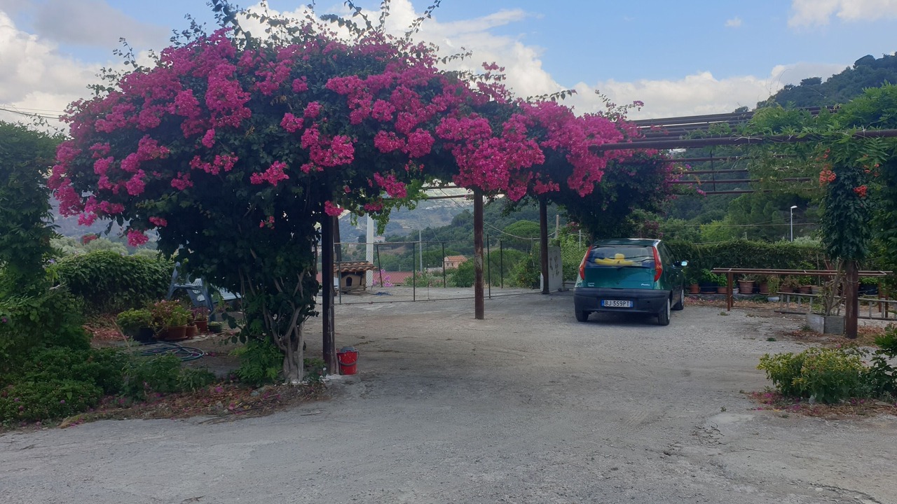 Photo of Outdoor in Patti