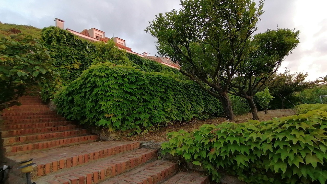 Photo of Outdoor in Province of Messina