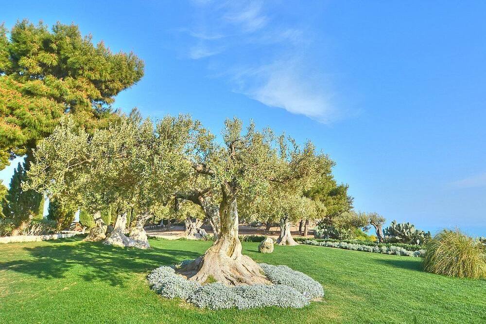 Photo of Outdoor in Licata