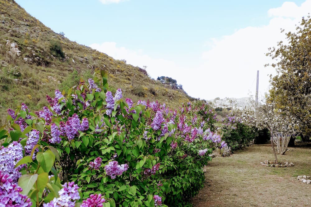 Photo of Outdoor in Assoro