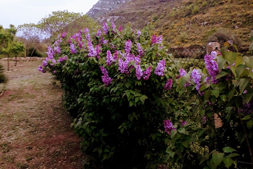 Photo of Outdoor in Assoro