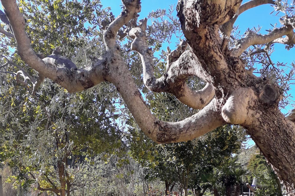 Photo of Outdoor in Assoro