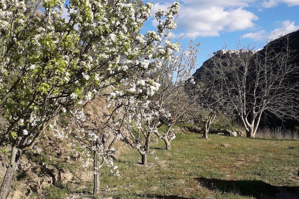 Photo of Outdoor in Assoro
