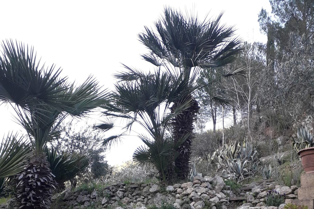 Photo of Outdoor in Assoro