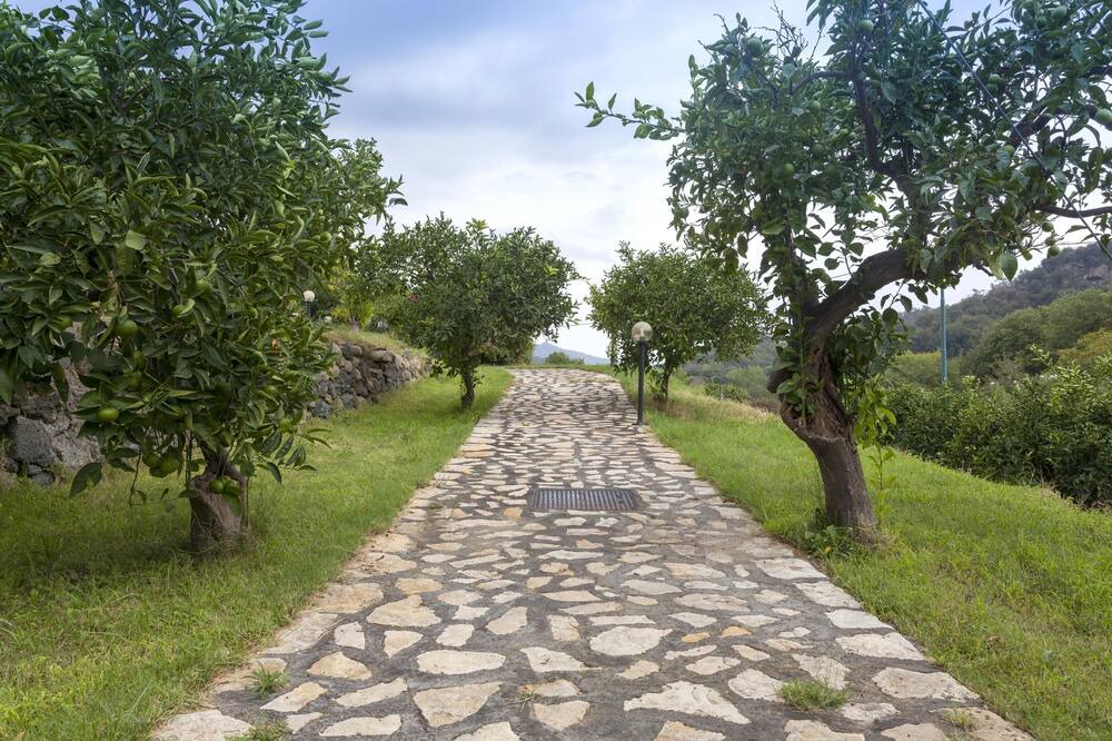Photo of Outdoor in Mitogio