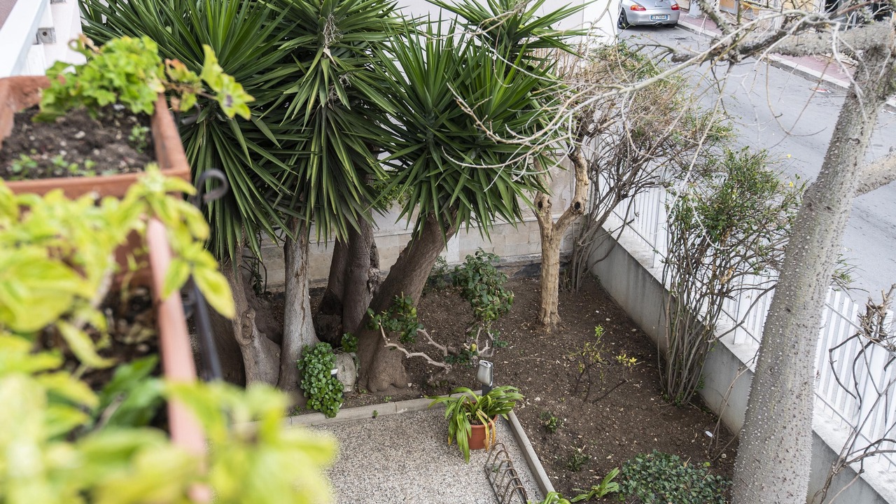 Photo of Outdoor in Casa Santa