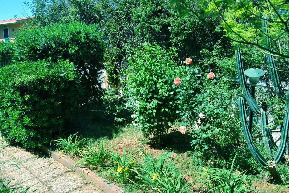Photo of Outdoor in Sferracavallo