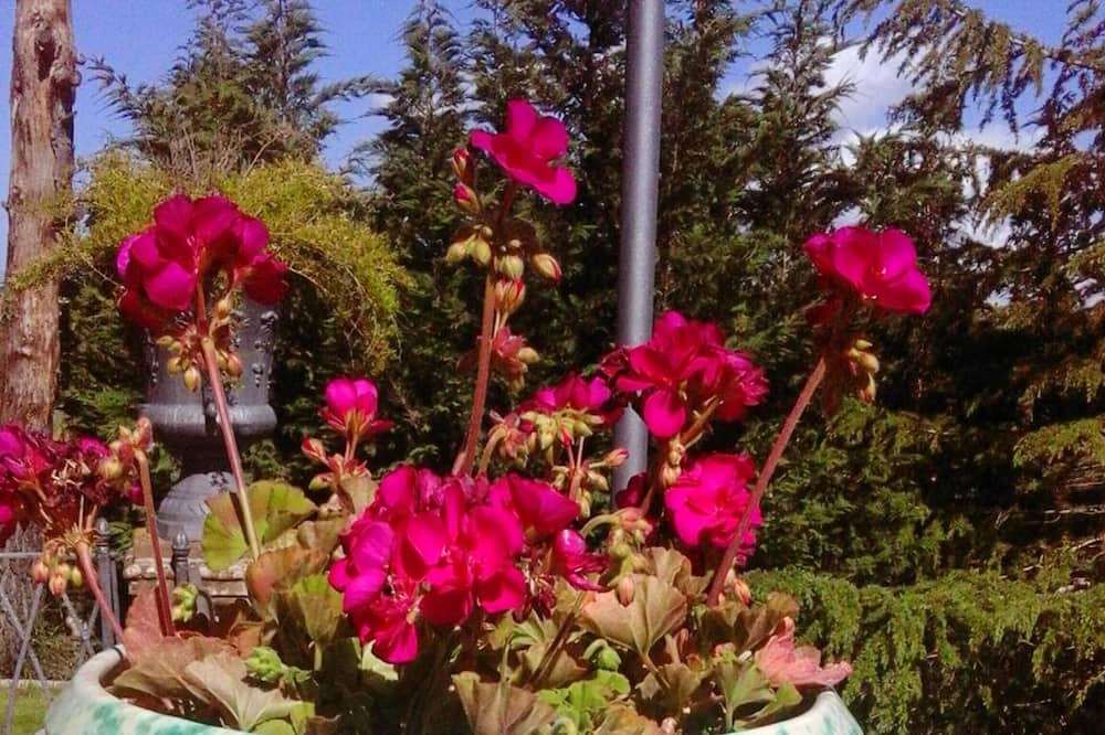 Photo of Outdoor in Grammichele